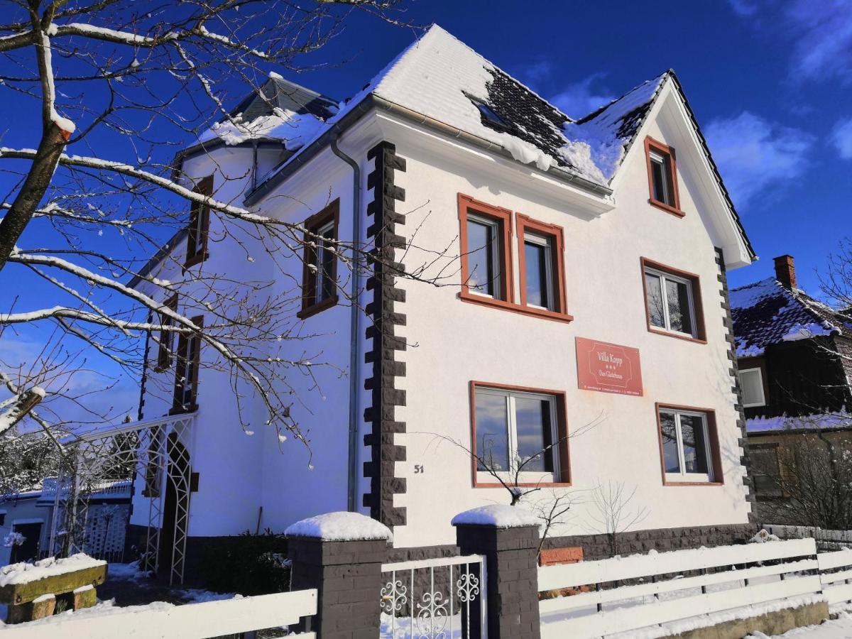 Villa Kopp-Das Gaestehaus Hopfingen Exterior photo